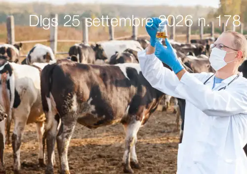 Decreto legislativo 25 settembre 2026 n. 178 Decreto legislativo 25 settembre 2026 n. 178
